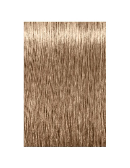Schwarzkopf Igora Royal 8-140 Absoluutid
