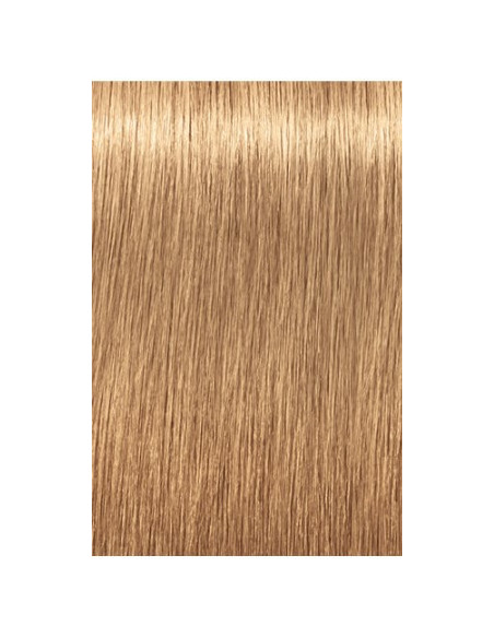 Schwarzkopf Igora Royal 9-560 Absoluutid