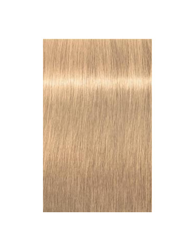 Schwarzkopf Igora Royal 10-4 tõstukid