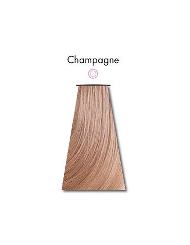 POOLVÄRV Šampanjavärv 60ml