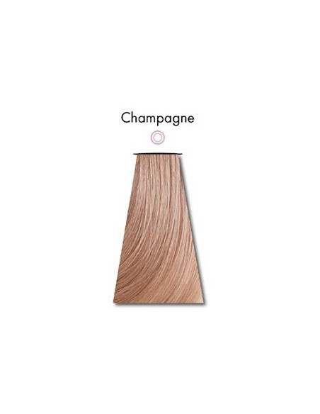 POOLVÄRV Šampanjavärv 60ml