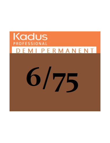Poolpüsiv juuksevärv 6/75 60ml