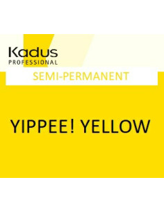 Poolpüsiv juuksevärv Color...