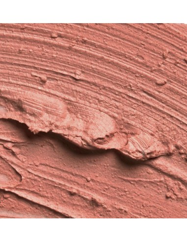 SLA PARIS Pro huulepulk - Nude Pink
