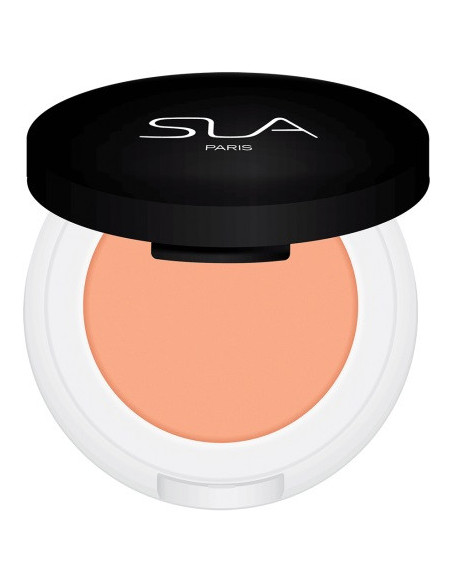 SLA PARIS CAKE CORRECTOR APRICOT – Peitekreem apelsinipigmendiga 3.5g