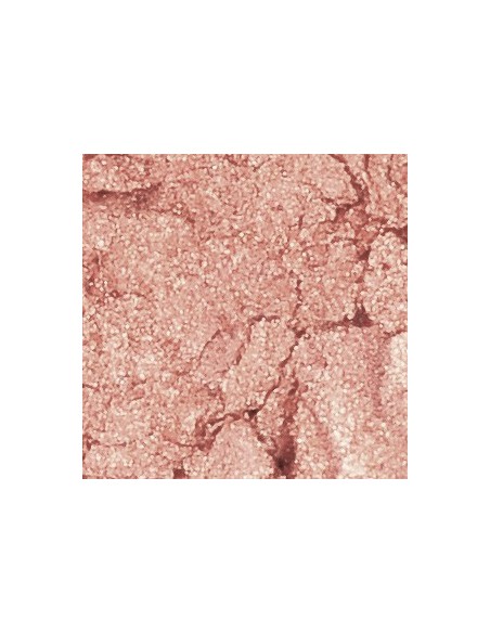 SLA PARIS Põsepuna põsepuna puudriroosas - Wild Land põsepuna 6.5g