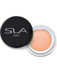 SLA PARIS Fixing Base...