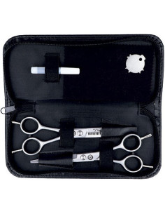 Professionaalsete...