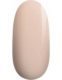 Quick Builderi kattealus...