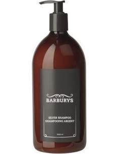 BARBURYS hõbedane...