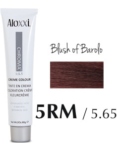 ALOXXI BAROLO PÕSEPUNA -...