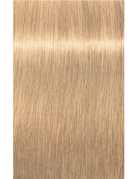 Schwarzkopf Igora Royal 10-4 tõstukid