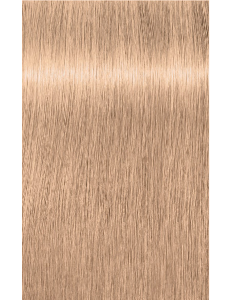 Schwarzkopf Igora Royal 10-19 Tõstukid