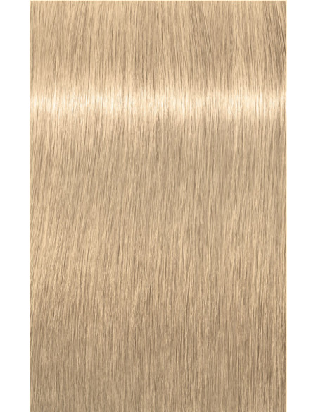 Schwarzkopf Igora Royal 12-1 tõsted