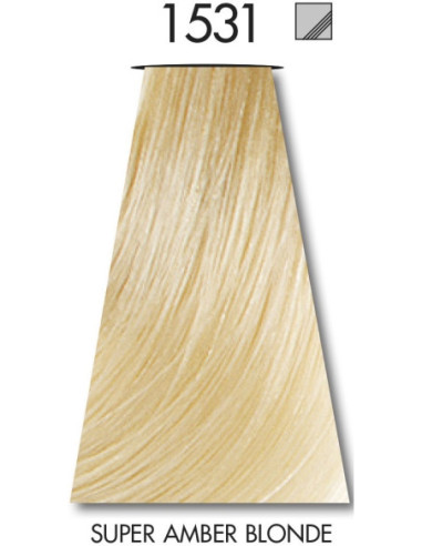 VÄRVILINE TINT 1531 60ml