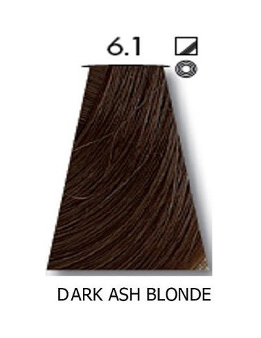 VÄRVILINE TINT 6.1 60ml