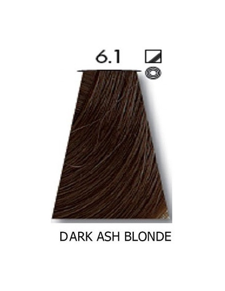 VÄRVILINE TINT 6.1 60ml