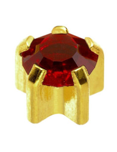 24ct Z jaanuar, kõrvarõngad...