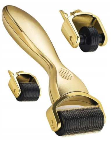 Dermarull-mikronõelravi seade, 3in1,...