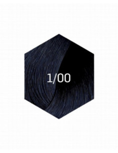 KOLLAAŽI PÜSIVÄRV 1/00