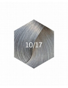 KOLLAAŽI PÜSIVÄRV 10/17