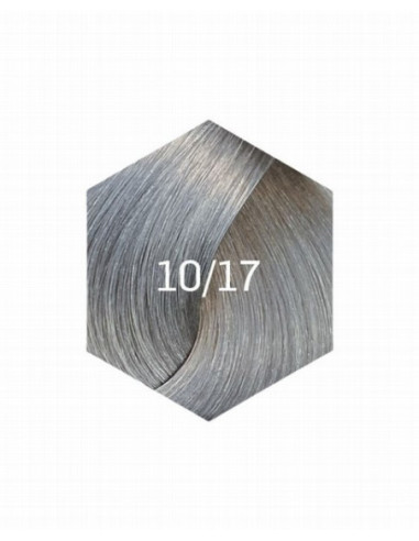 KOLLAAŽI PÜSIVÄRV 10/17