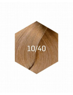 KOLLAAŽI PÜSIVÄRV 10/40