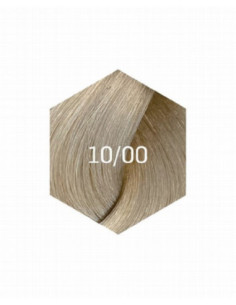 KOLLAAŽI PÜSIVÄRV 10/00
