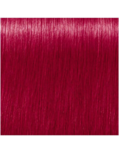 CREA-BOLD erkpunane...