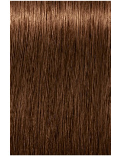 Schwarzkopf Igora Royal...