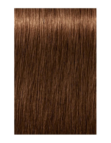 Schwarzkopf Igora Royal 6-460 Absoluutid