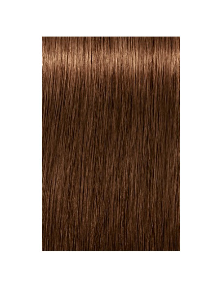 Schwarzkopf Igora Royal 6-460 Absoluutid