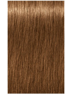 Schwarzkopf Igora Royal...