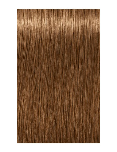 Schwarzkopf Igora Royal 7-450 Absoluutid