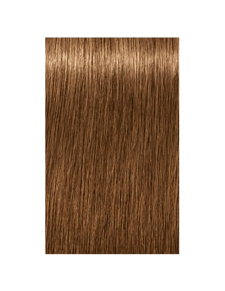 Schwarzkopf Igora Royal 7-450 Absoluutid