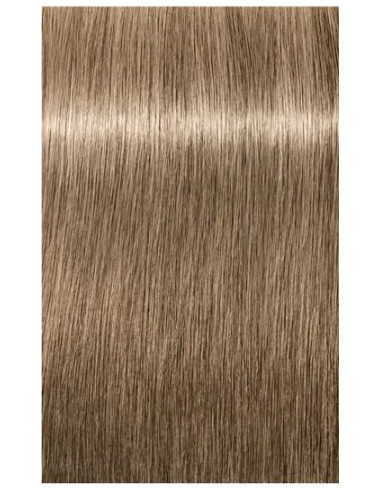 Schwarzkopf Igora Royal 8-01 Absoluutid