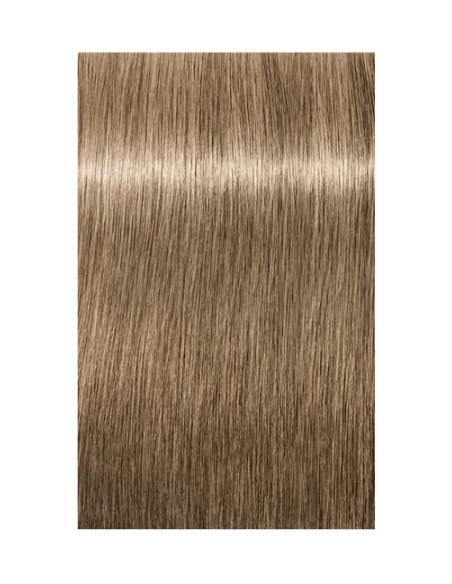 Schwarzkopf Igora Royal 8-01 Absoluutid