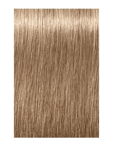 Schwarzkopf Igora Royal 8-140 Absoluutid