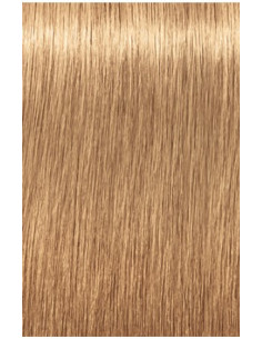 Schwarzkopf Igora Royal...