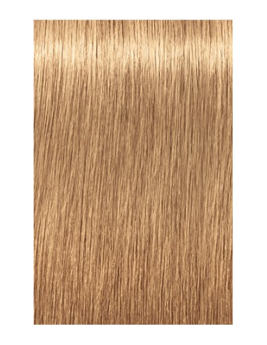 Schwarzkopf Igora Royal 9-560 Absoluutid