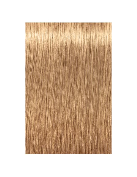Schwarzkopf Igora Royal 9-560 Absoluutid