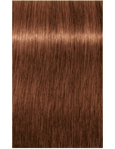 IGORA ROYAL permanentā matu...