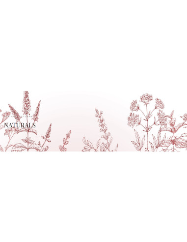 Naturals kätekreem, aiaroosiga 30ml