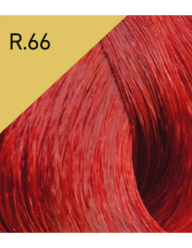 COLOR LUX juuksevärv R.66 100ml