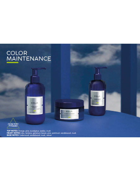 LUCENT COLOR värvi säilitav ja särav juuksemask, toitev 250ml