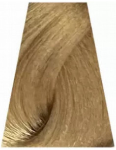 TREND TOUJOURS Juuksevärv...