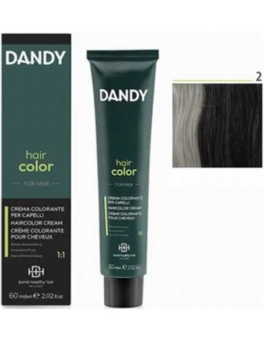DANDY COLOR 2 - meeste juuksevärv 60ml