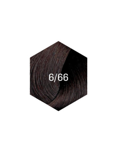 KOLLAAŽI PÜSIVÄRV 6/66