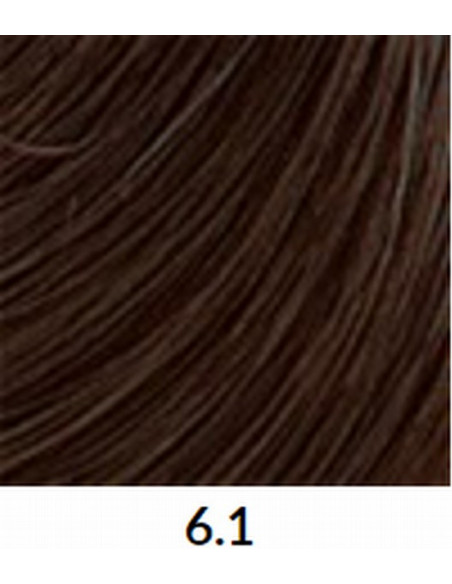 VÄRVILINE TINT 6.1 60ml