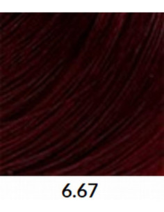 VÄRVILINE TINT 6.67 60ml